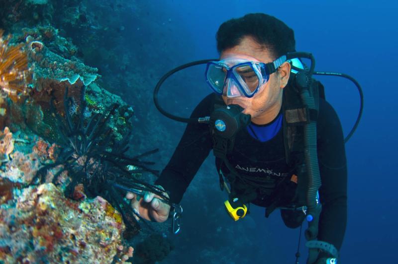 Diver in Bunaken