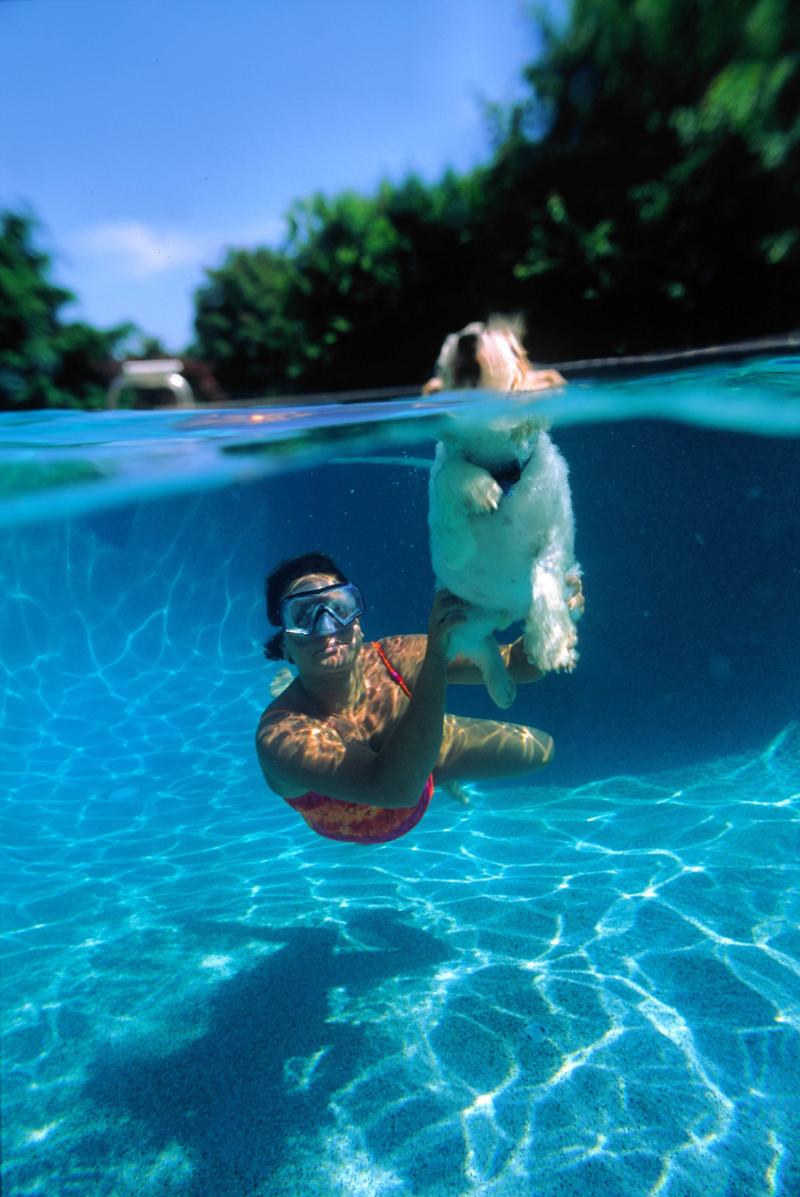 swimmer and dog