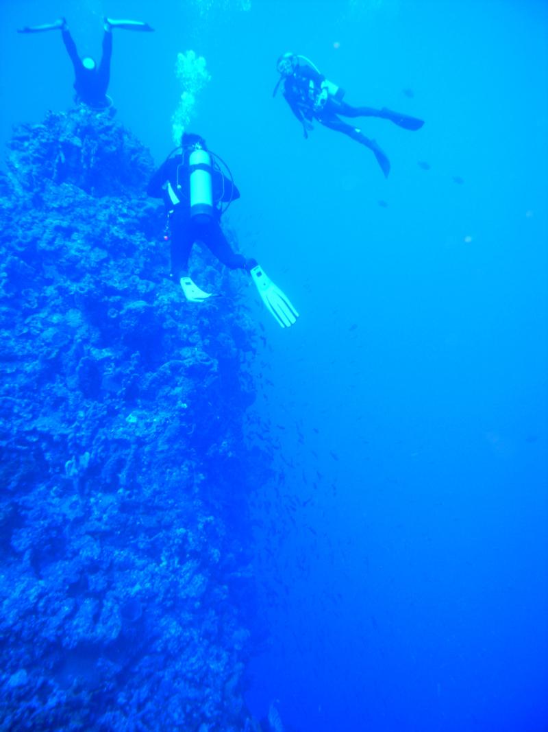 Saba 2009