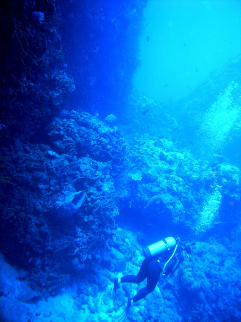 Saba 2009