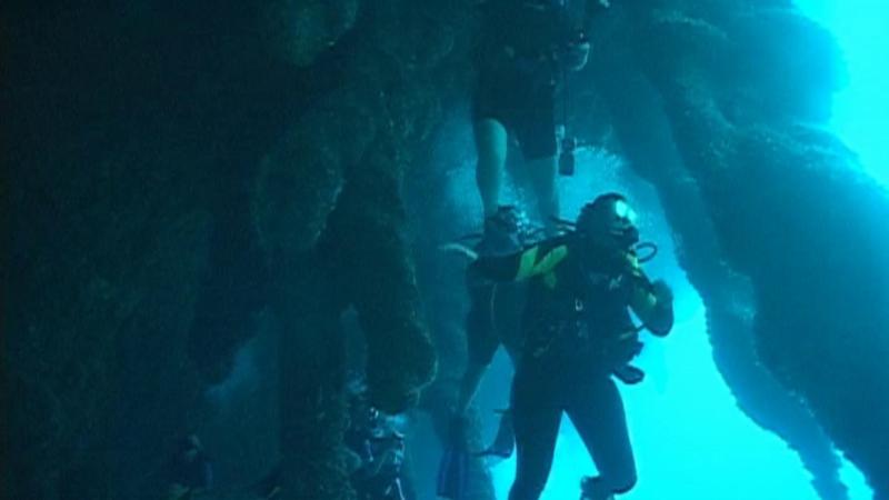 Stalactites at 140 FT - Blue Hole - Belize