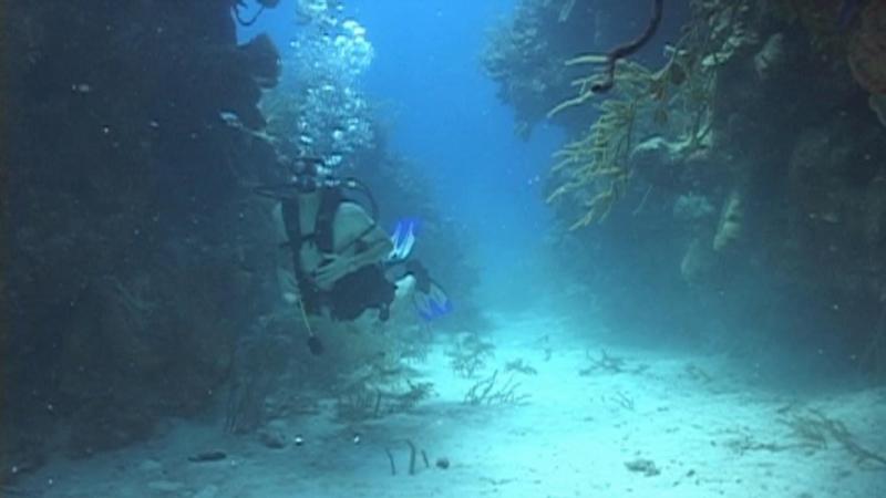 Me checking it out -2nd dive- Belize