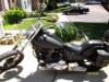 my bike