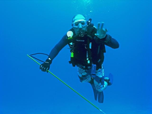 Diving in the Bahamas