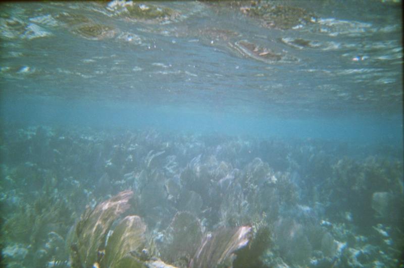 low tide