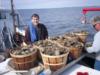 Chesapeake Bay Diving for Osyters