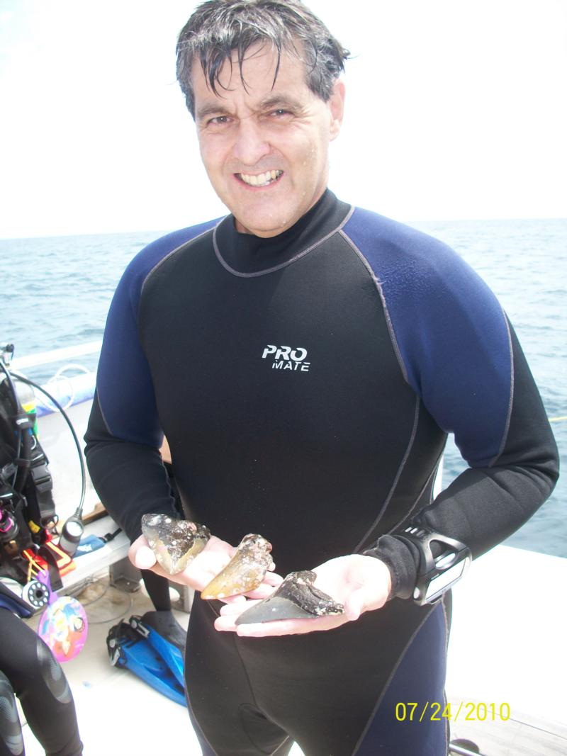 Megolodon Shark Tooth Wilmington North Carolina