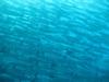 Sipadan