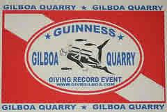Gilboa 2009