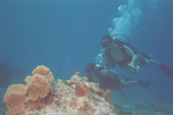 Paradiso, Caleta, Cozumel, Mexico 1 