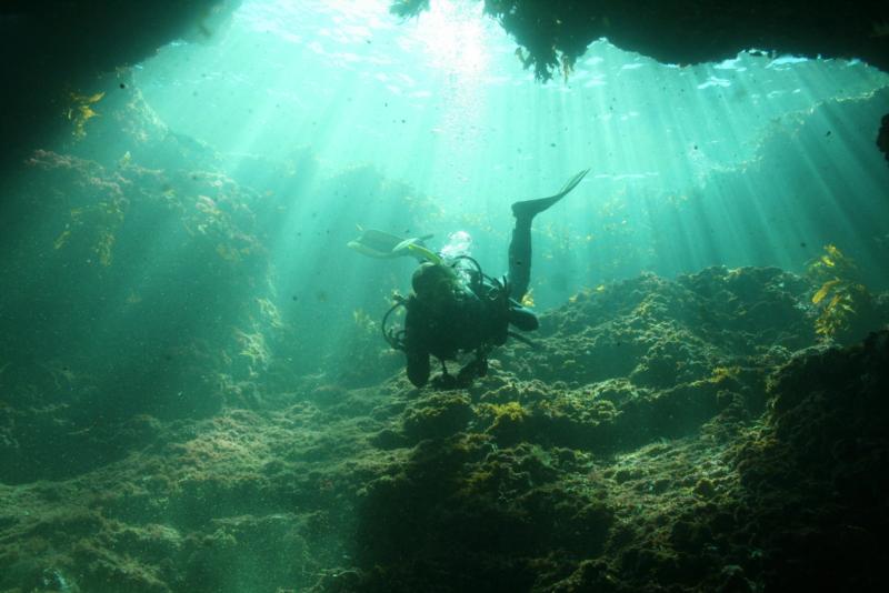 underwater 