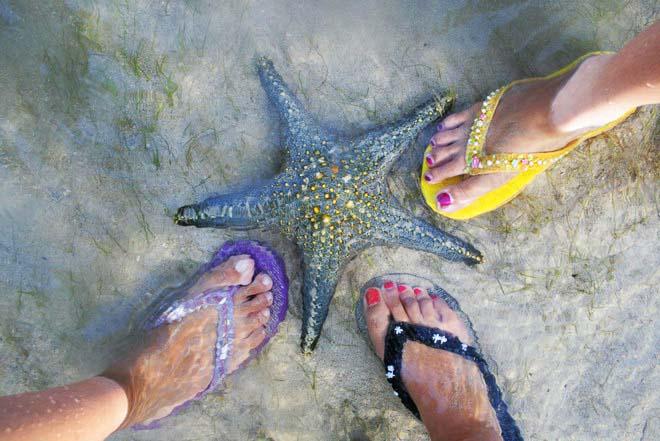 starfish and my bestfriend feet