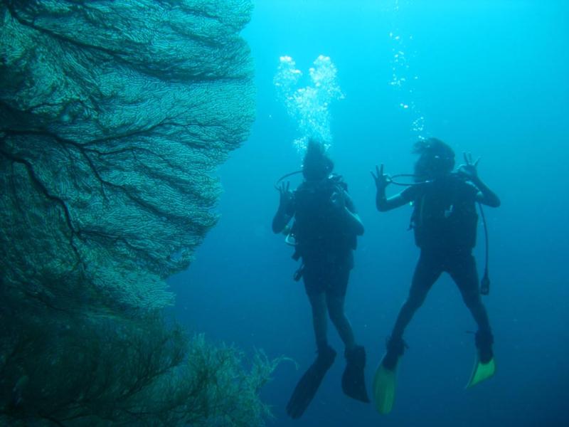 menjangan island