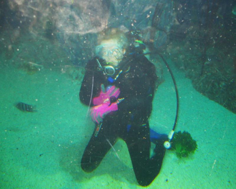 Me-Atlantic Reef-Nat’l Aquarium