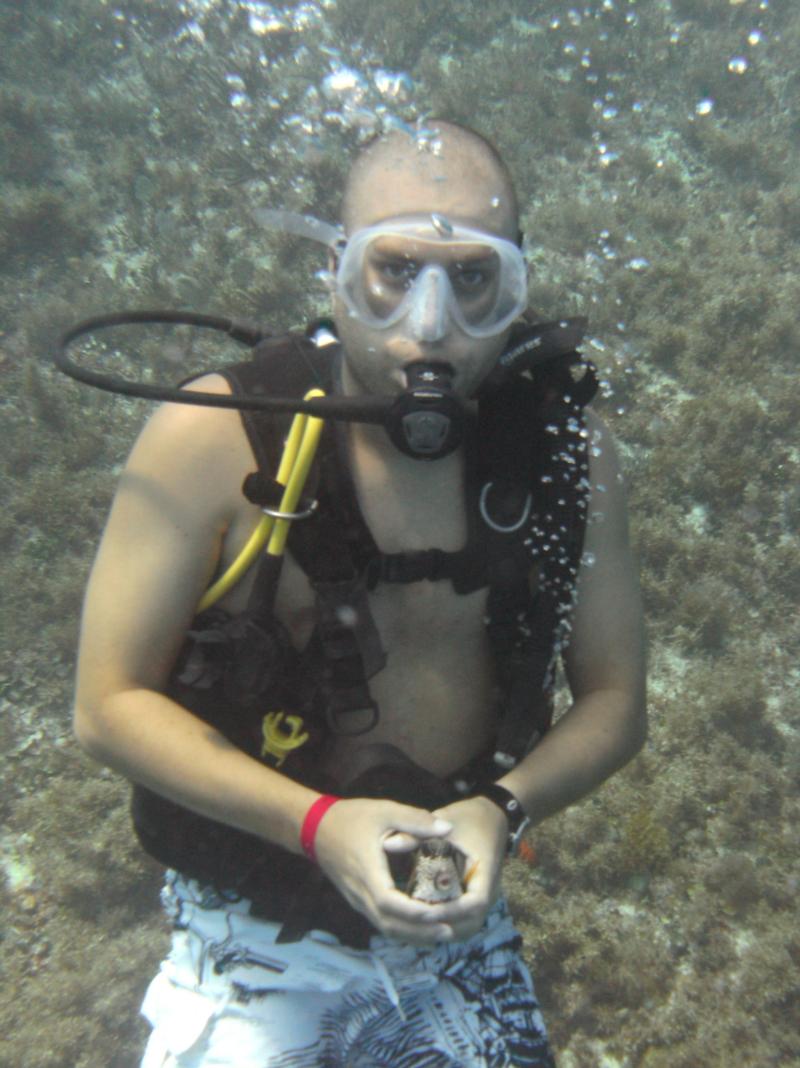 Cow Fish, Cancun Mexico