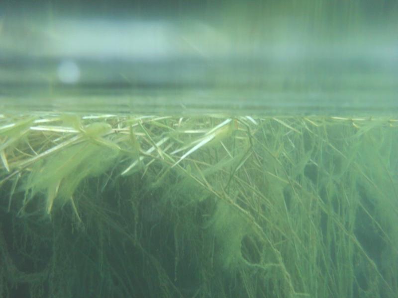 more underwater photography