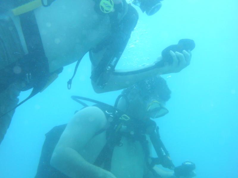 Navigation training