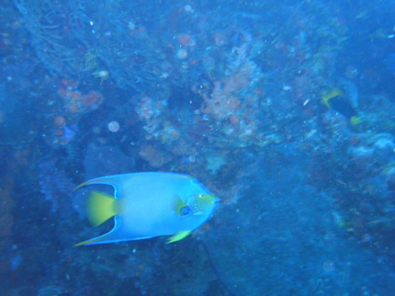 at Delilah Reef