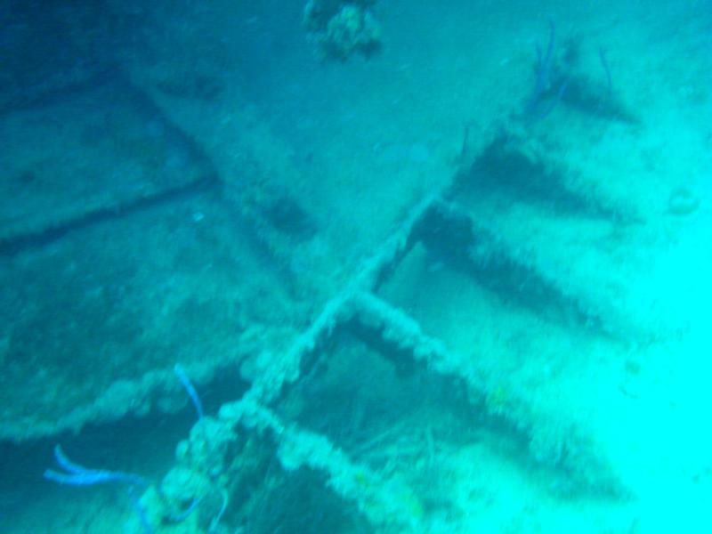 Diving the "Triple Wrecks" in the Bahamas