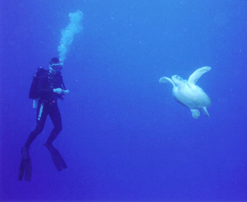 David with Turtle