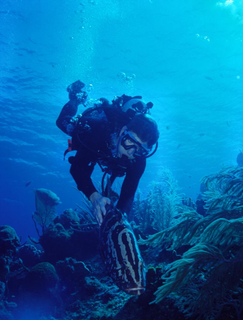 David with Grouper, Little Cayman