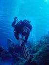 David with Grouper, Little Cayman