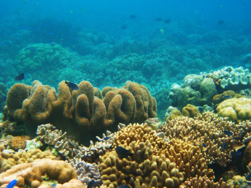 philippines