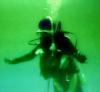 Diving in Pensacola w/ Viking Diving