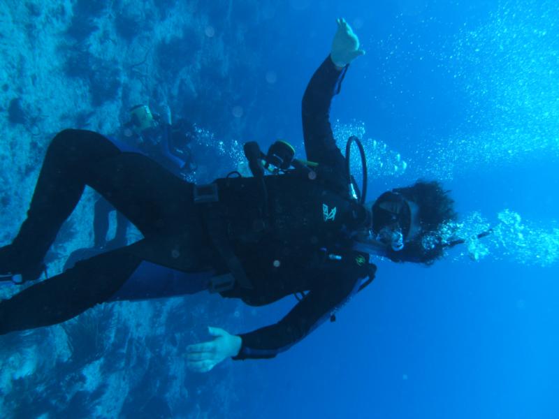 tortuga reef in playacar