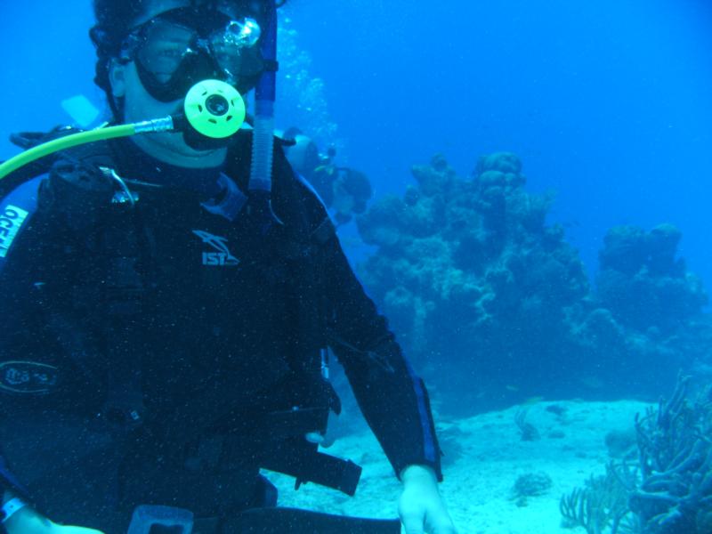 padaise dive site off cozumel