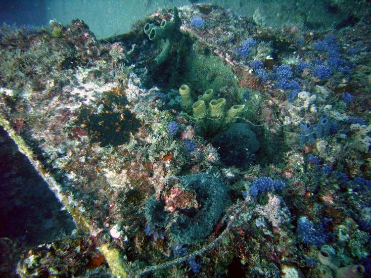 Castor Wreck of Boynton Beach Florida