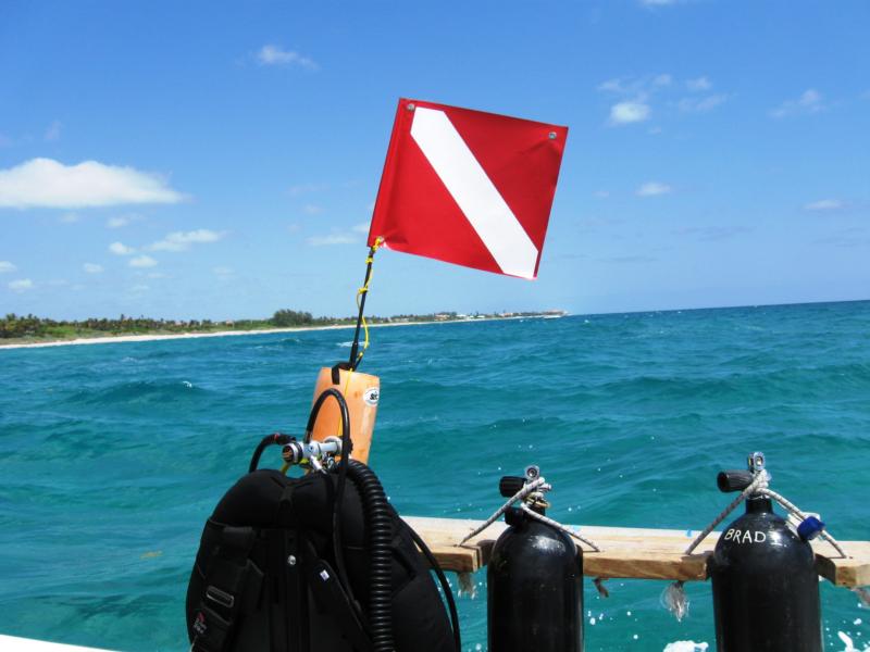 Diving Boyton Beach