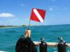 Diving Boyton Beach