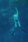 free diving in the Blue Hole