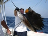 Sailfish!