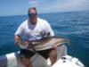 50 lb. cobia