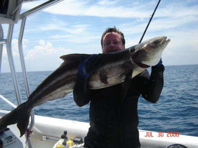 SpearChuck shot a 55lb. cobia!