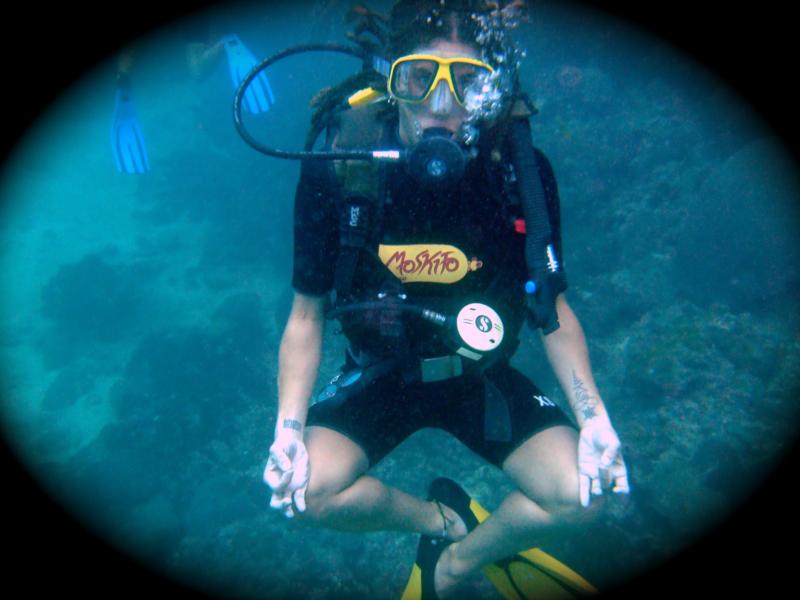 diving phi phi thailand