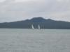 Americas cup boats on the Auckland Habour 