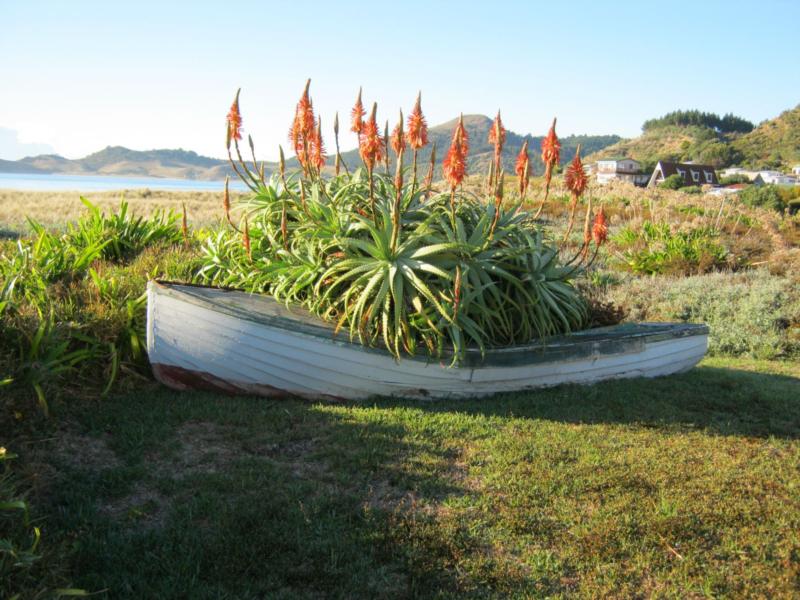 This little boat has had its Day 