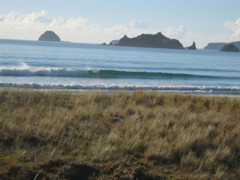 the Blue Pacific from the Back door