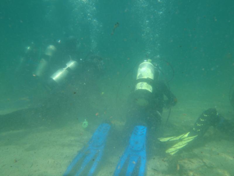 Students on a Cert dive in the Pond