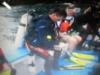 Getting Ready to Dive