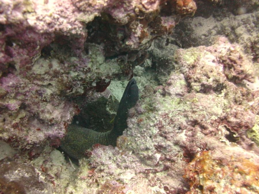 Diving in Boracay