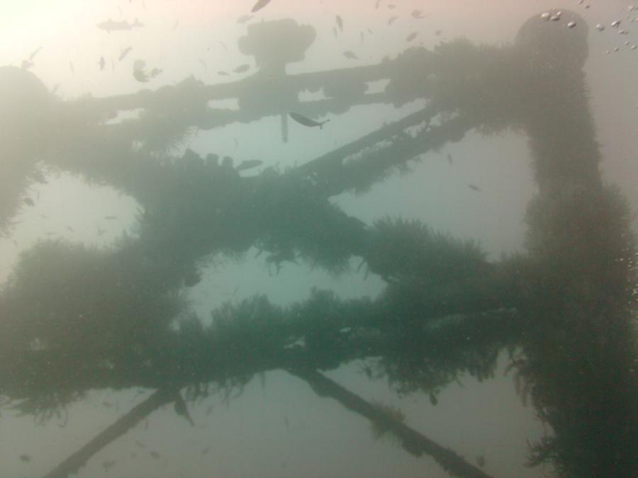 Diving in Boracay