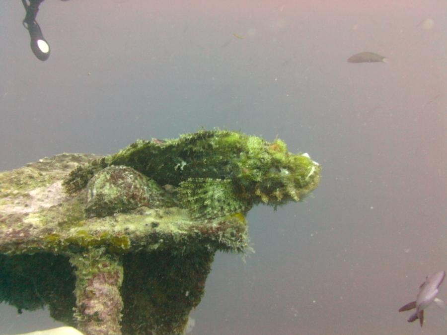 Diving in Boracay