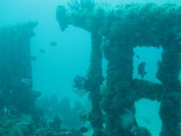 Corridor Wreck