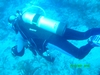 Reef dive, Jupiter, FL 2/2007