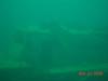 Dutch springs 11/21/09