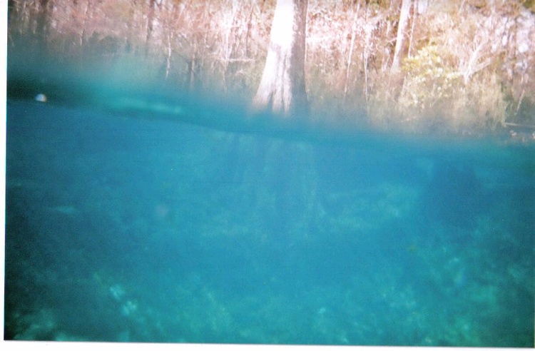 snorkeling ponce de leon FL